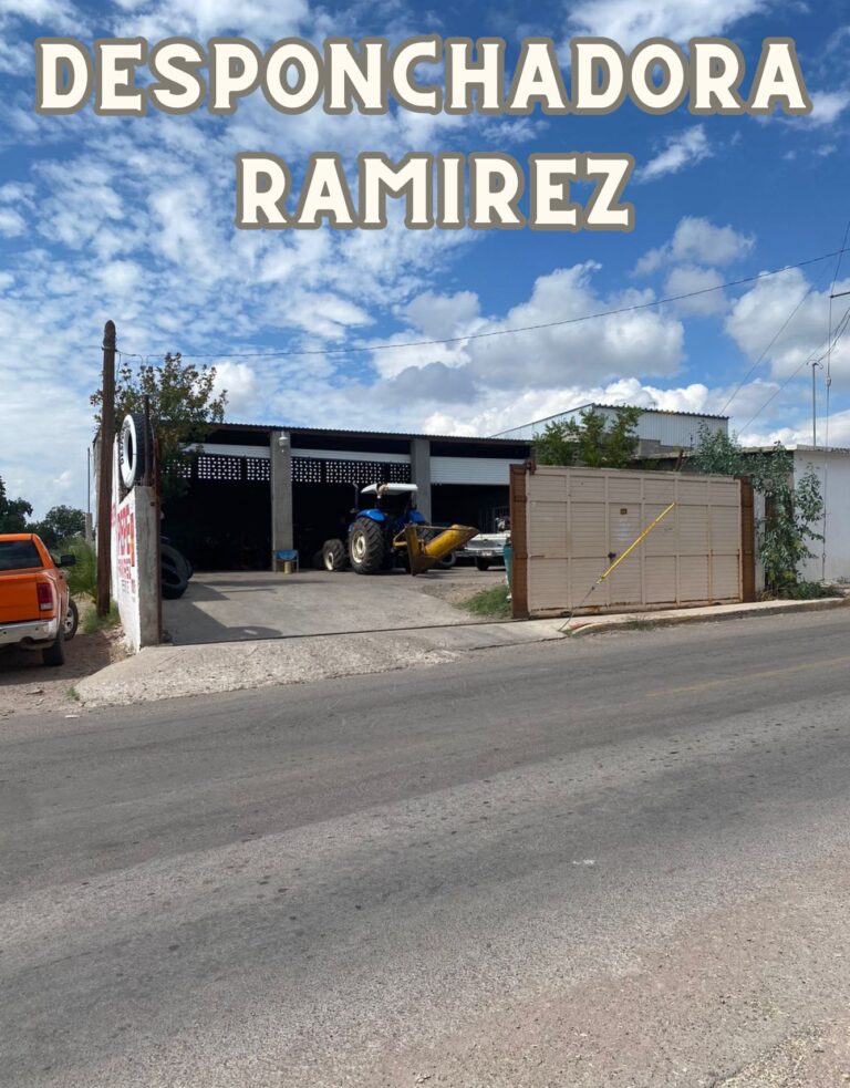 Llantera y Desponchadora Ramirez